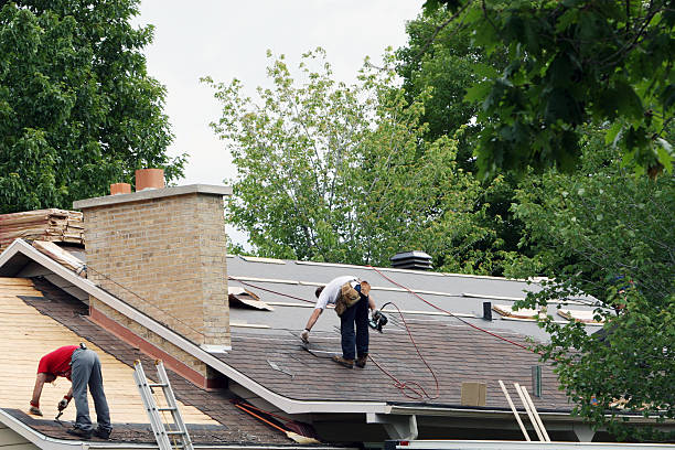 Best Roof Maintenance Services  in Harbor Springs, MI